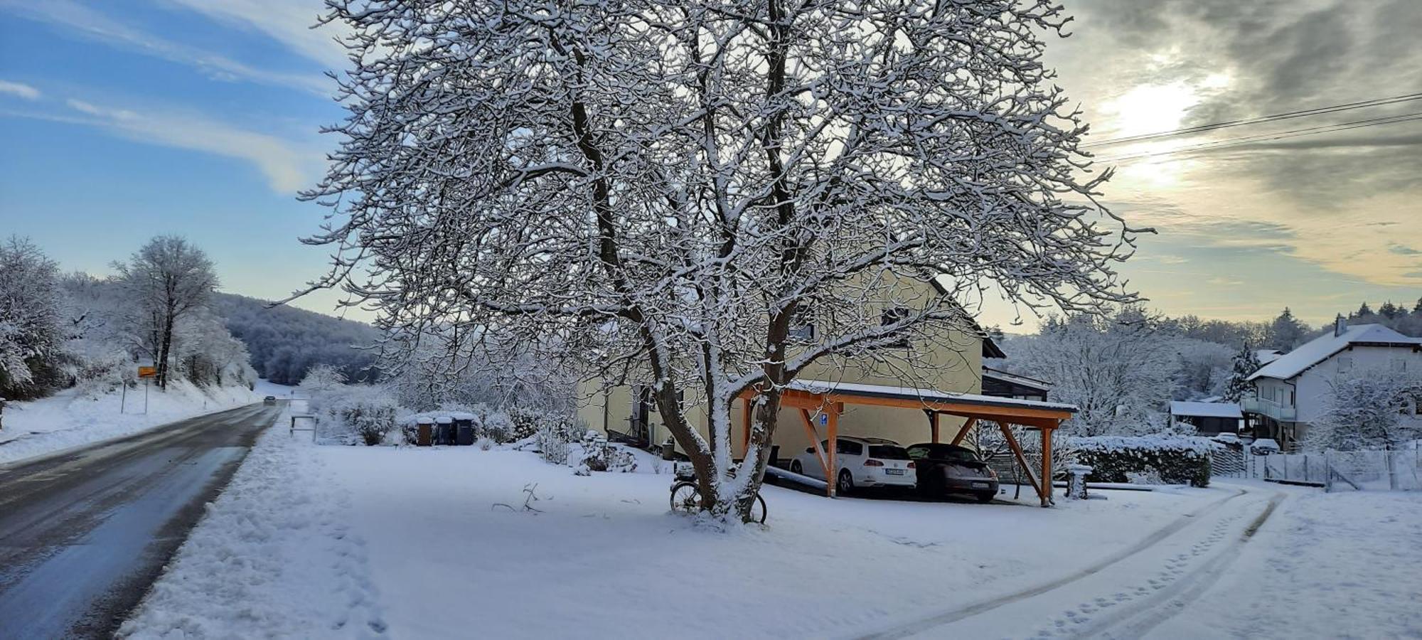 Ferienwohnung Tine Oberhausen bei Kirn Dış mekan fotoğraf